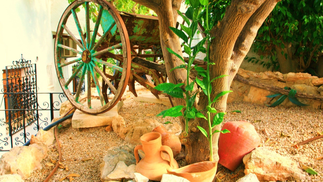 Photo of Outdoor in Peguera