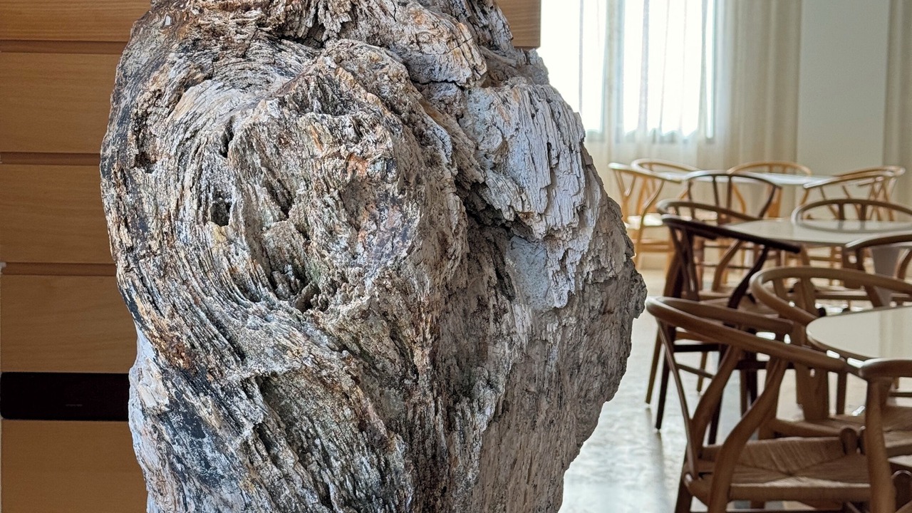 Photo of Livingroom in Montorio