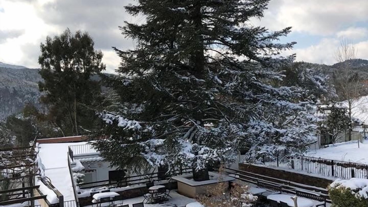 Photo of Outdoor in Viladrau