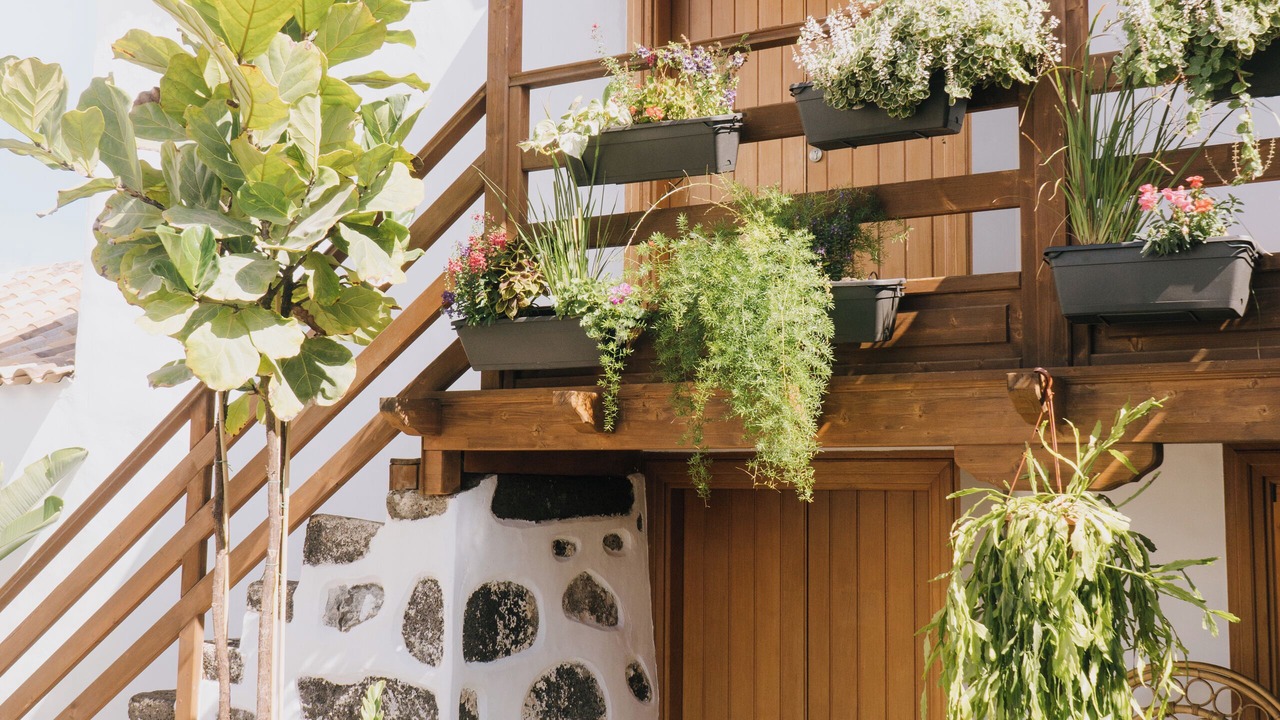 Photo of Patio Balcony in Moya