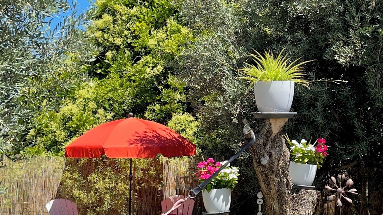 Photo of Outdoor in Los Carriones
