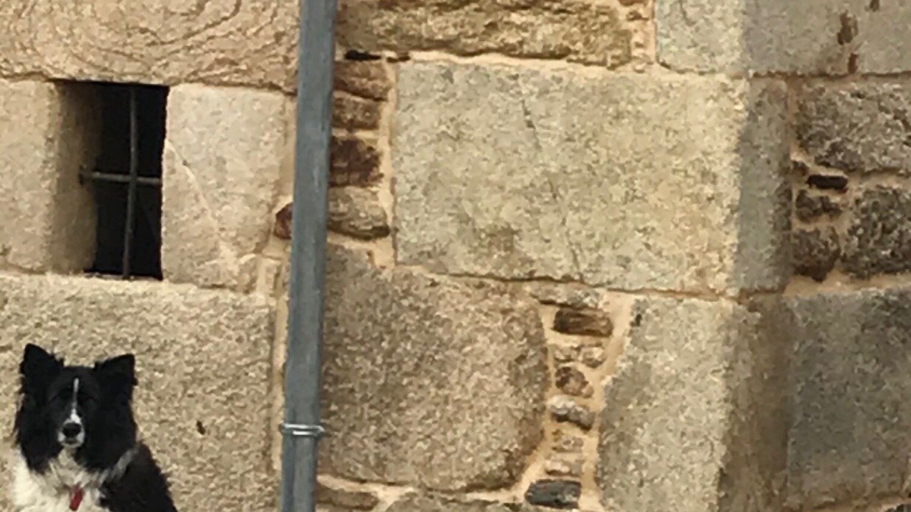 Photo of Others in Sanxurxo