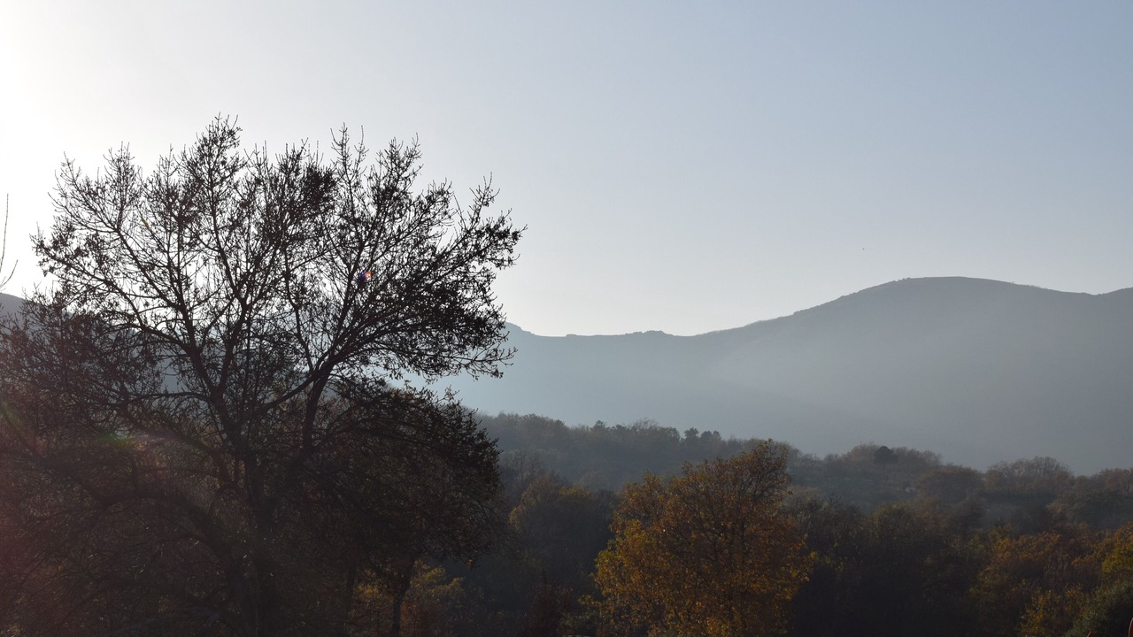 Photo of Outdoor in Menasalbas