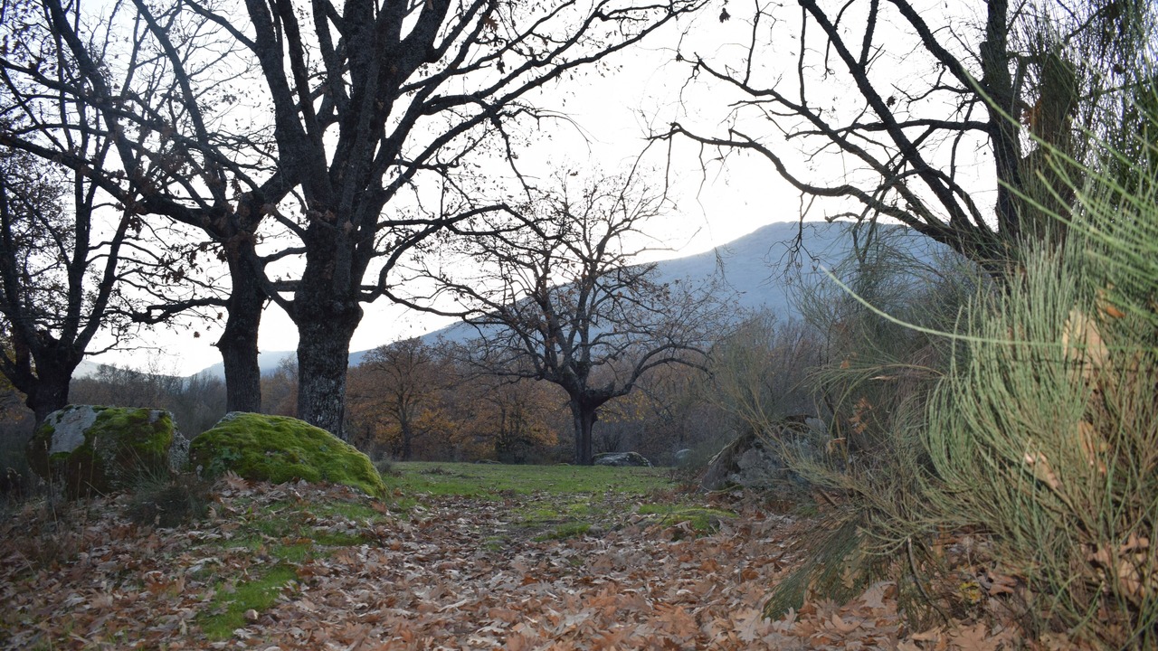 Photo of Outdoor in Menasalbas