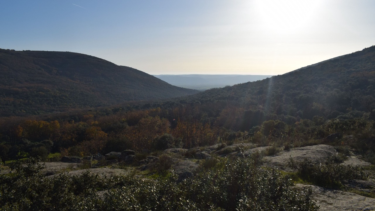 Photo of Outdoor in Menasalbas