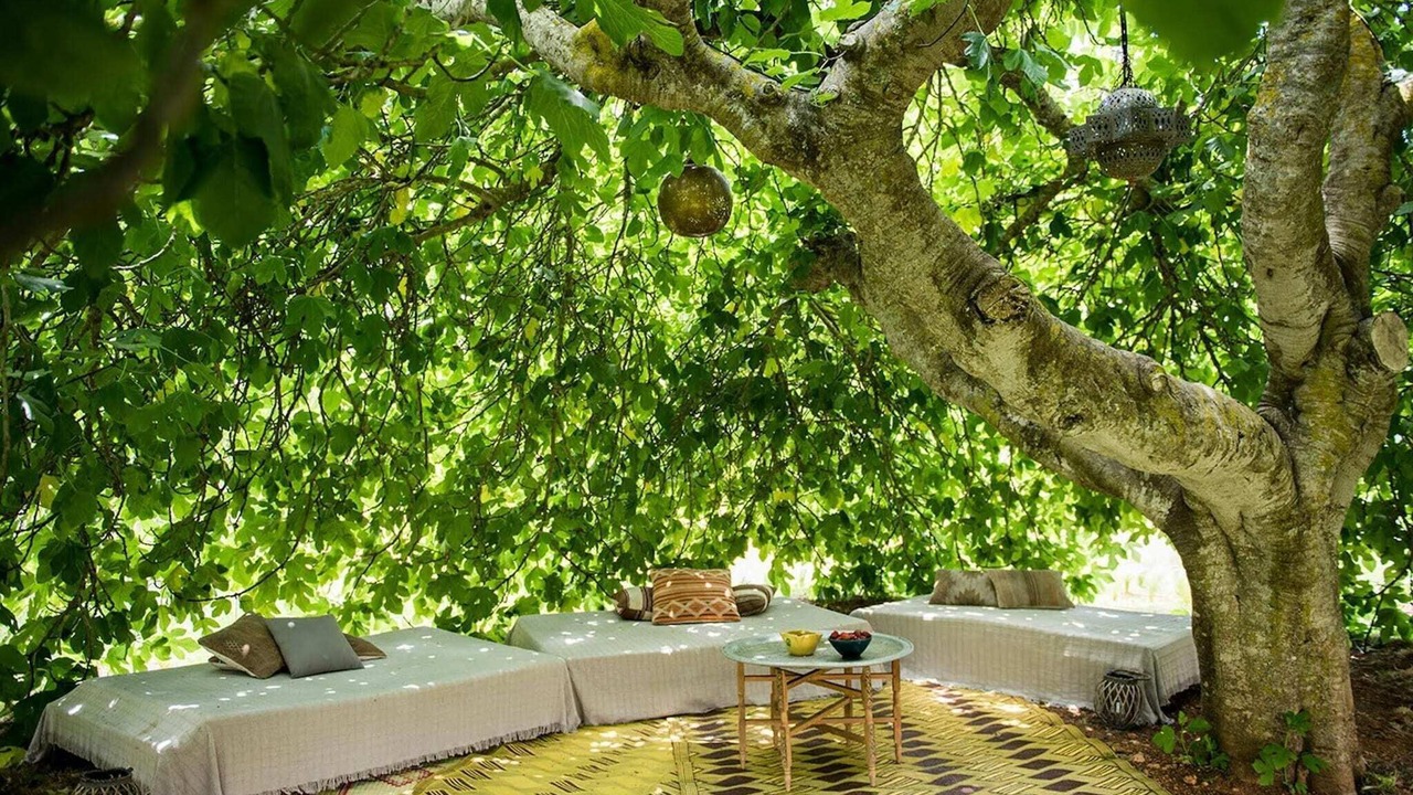 Photo of Outdoor in Santa Gertrudis