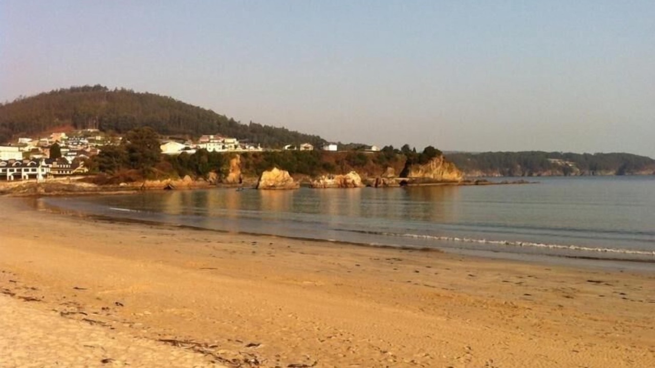 Photo of Others in Covas