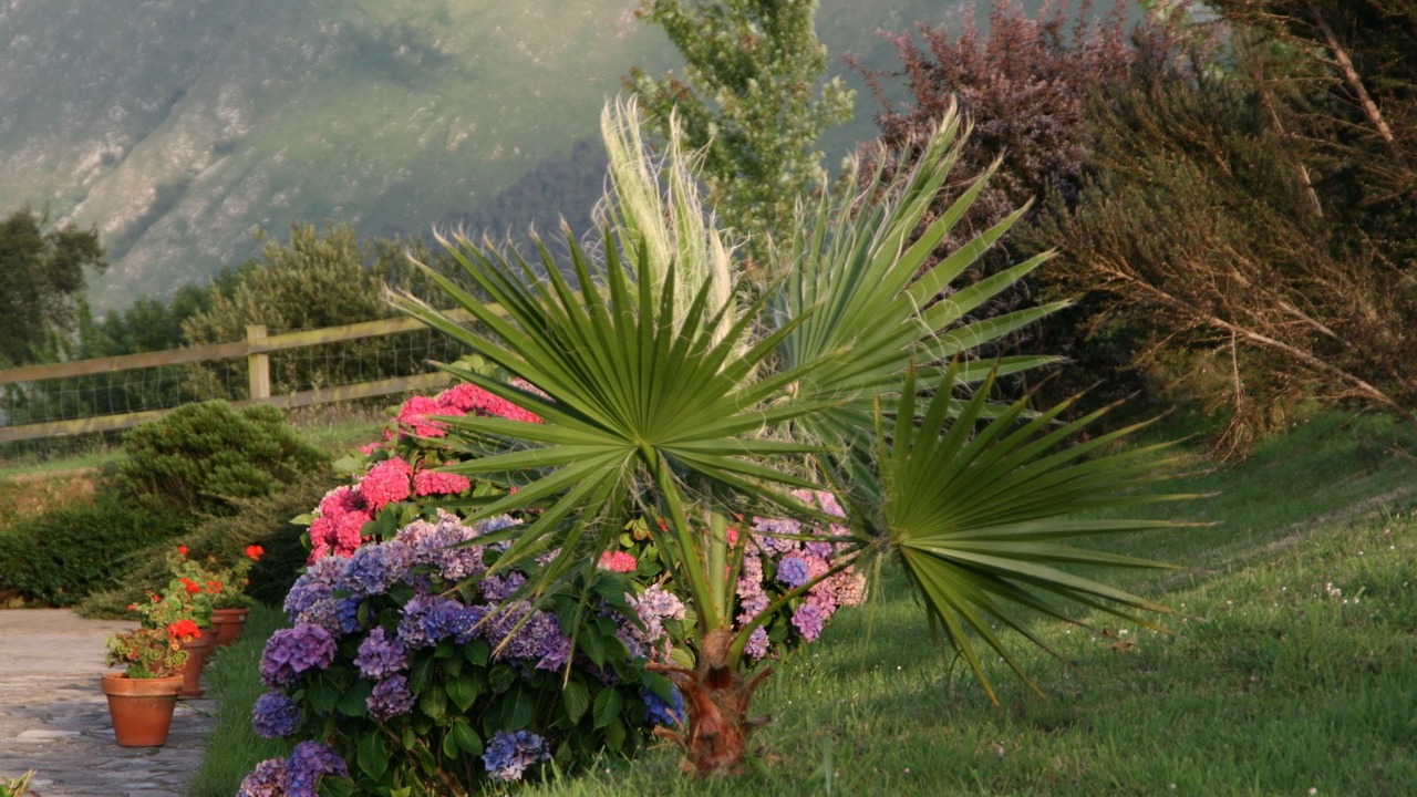 Photo of Outdoor in Ribadesella