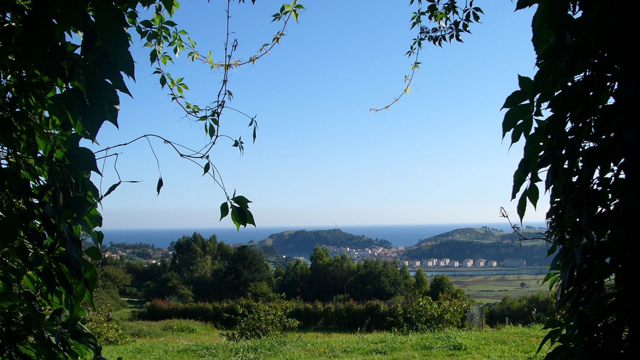 Photo of Others in Ribadesella
