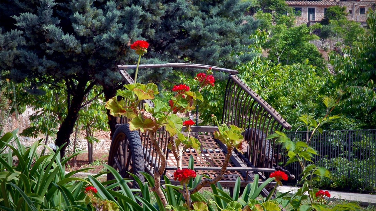 Photo of Outdoor in S'Arxiduc
