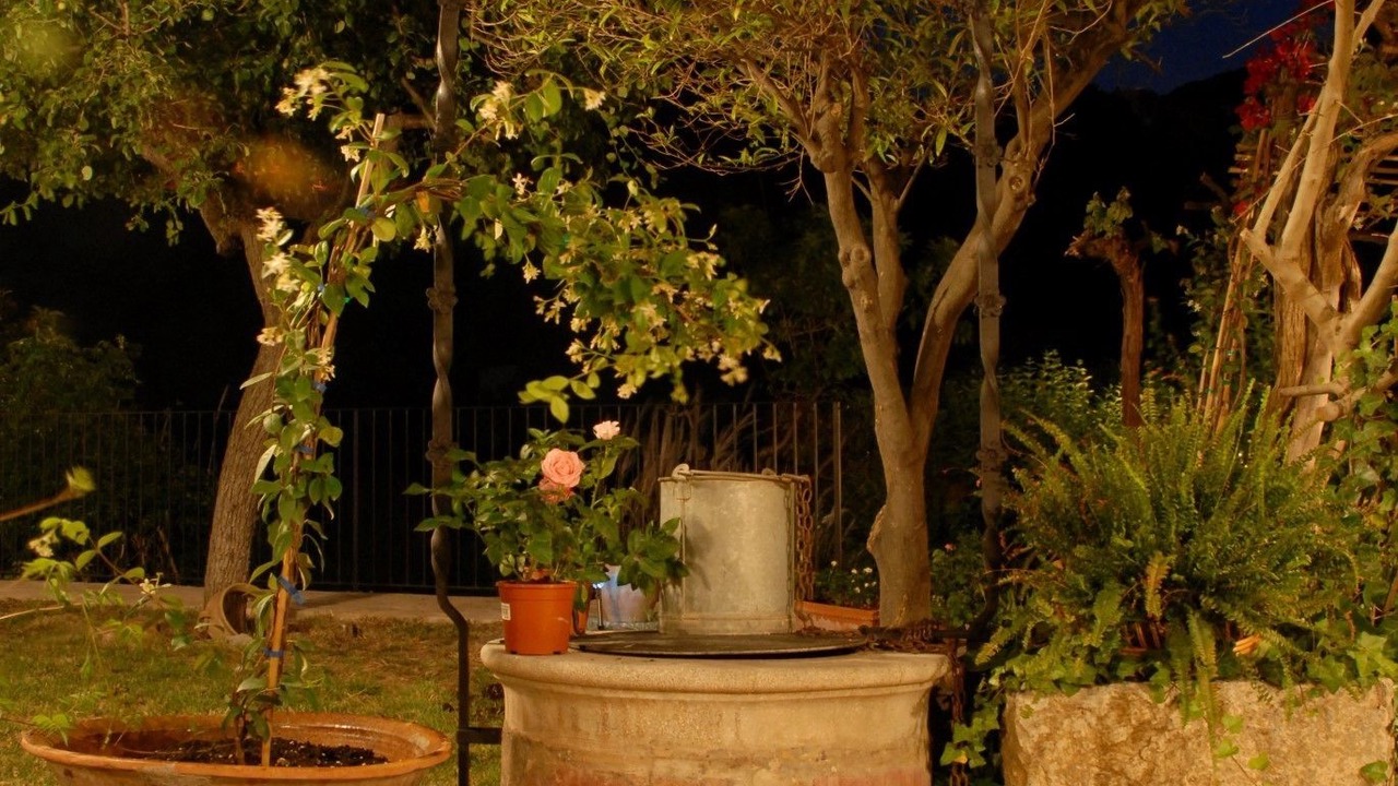 Photo of Outdoor in S'Arxiduc