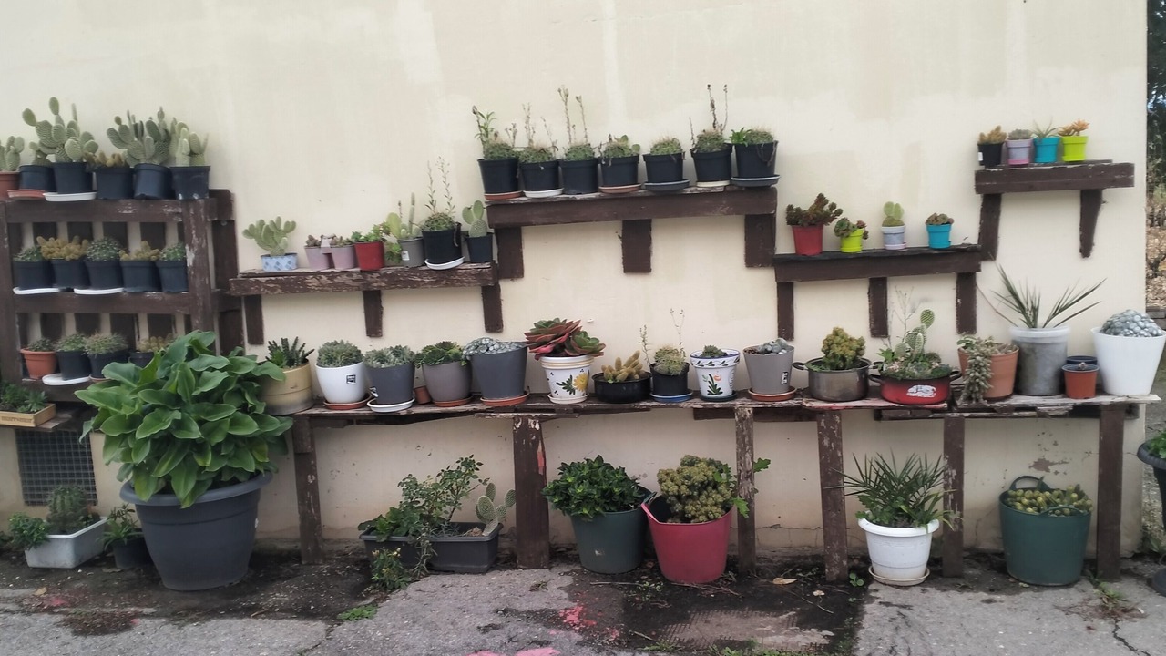 Photo of Outdoor in Cenicero
