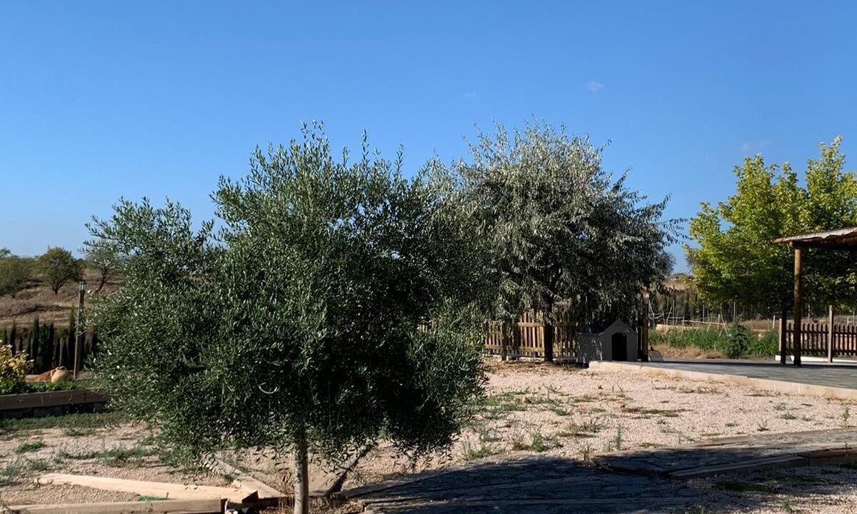 Photo of Outdoor in Caravaca de la Cruz