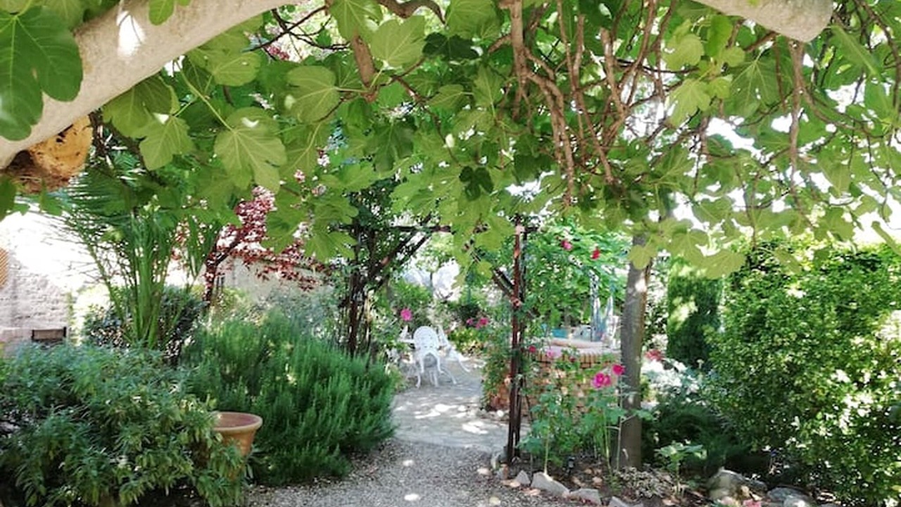 Photo of Outdoor in Cazorla