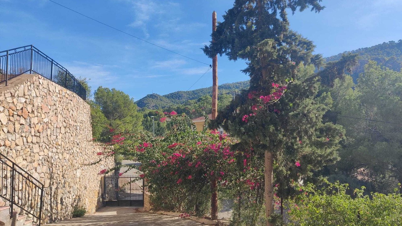 Photo of Outdoor in Algezares