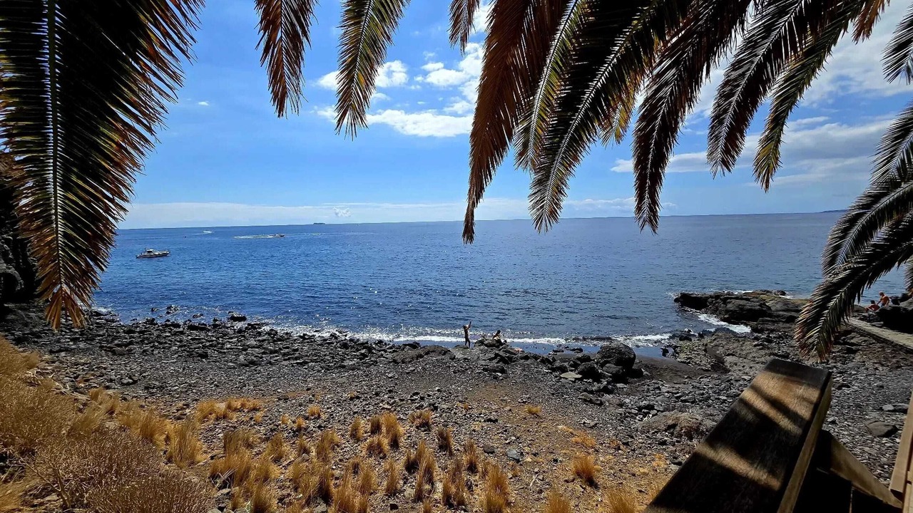 Photo of Others in Tabaiba