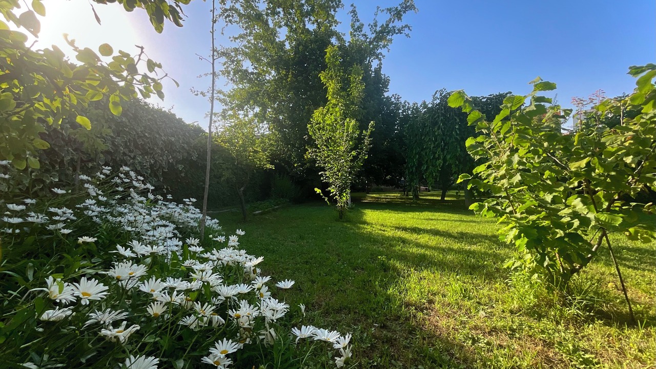 Photo of Outdoor in Fitero