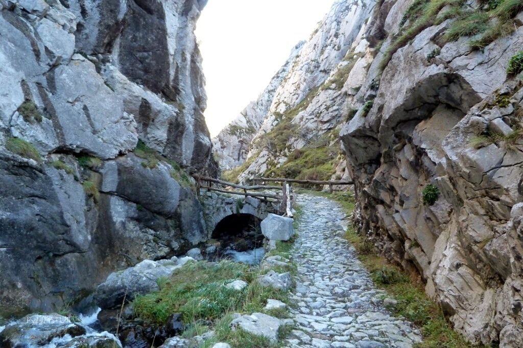 Photo of Outdoor in El Pino