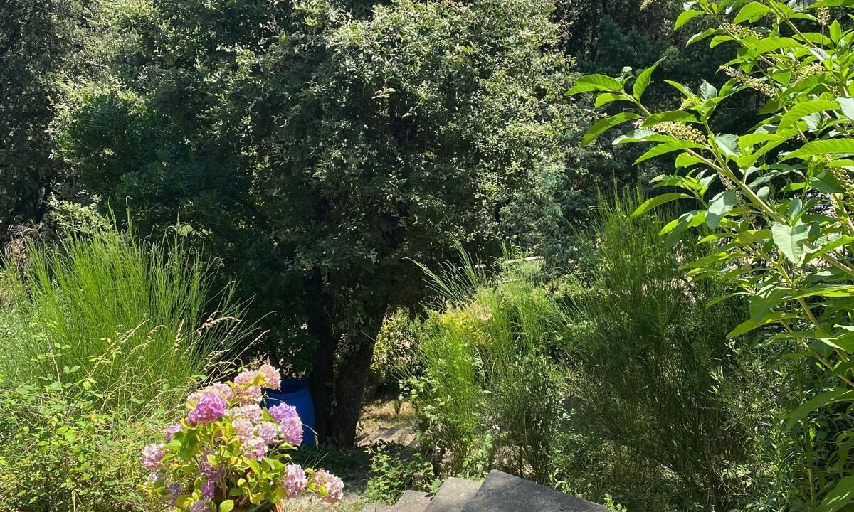 Photo of Outdoor in Sant Pere de Vilamajor