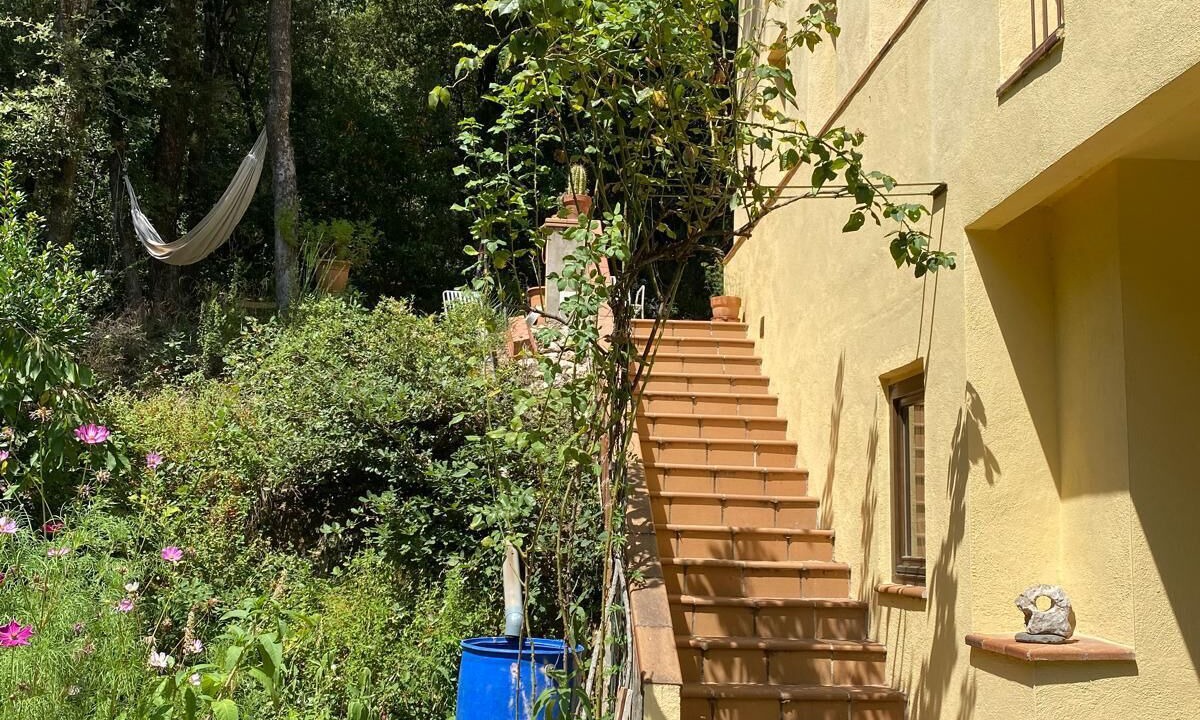 Photo of Outdoor in Sant Pere de Vilamajor