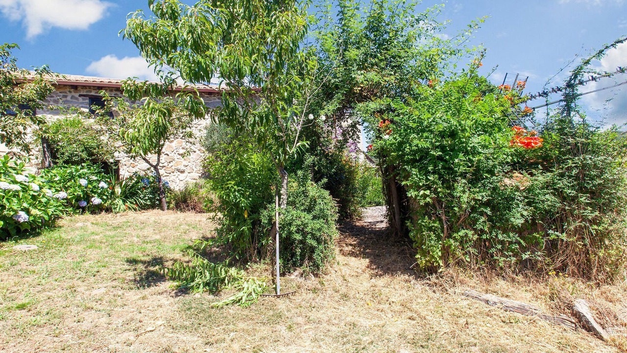 Photo of Outdoor in Panton