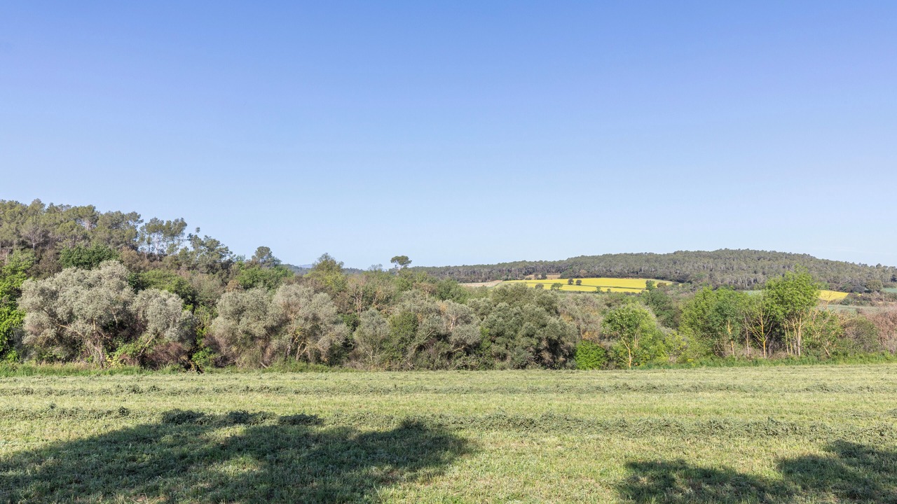 Photo of Outdoor in Bascara