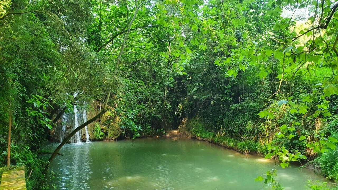 Photo of Outdoor in Bascara