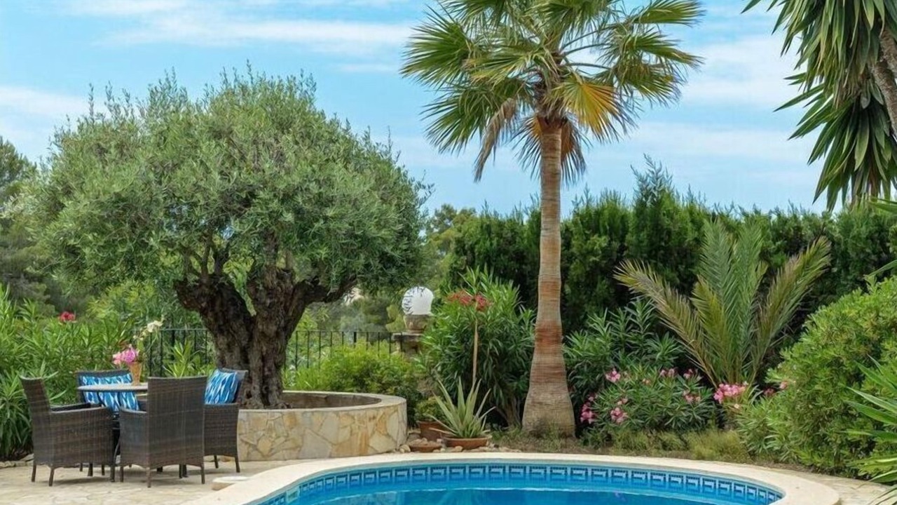 Photo of Outdoor in Costa de la Calma