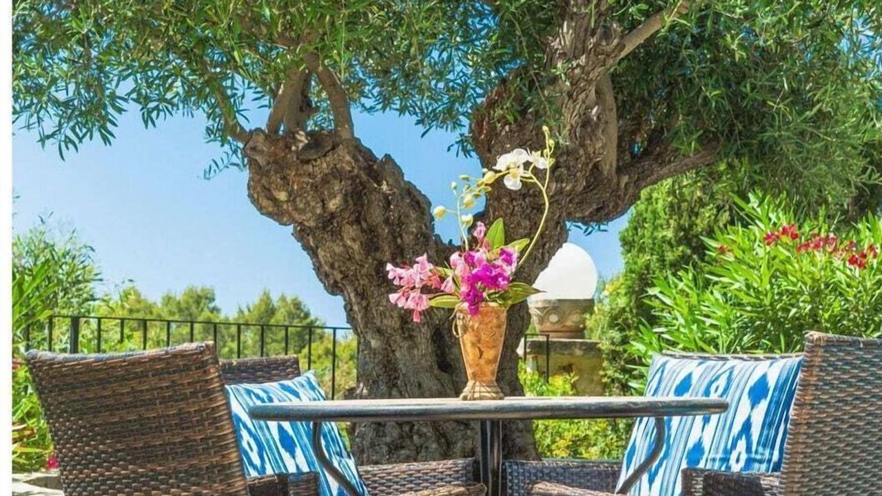 Photo of Outdoor in Costa de la Calma
