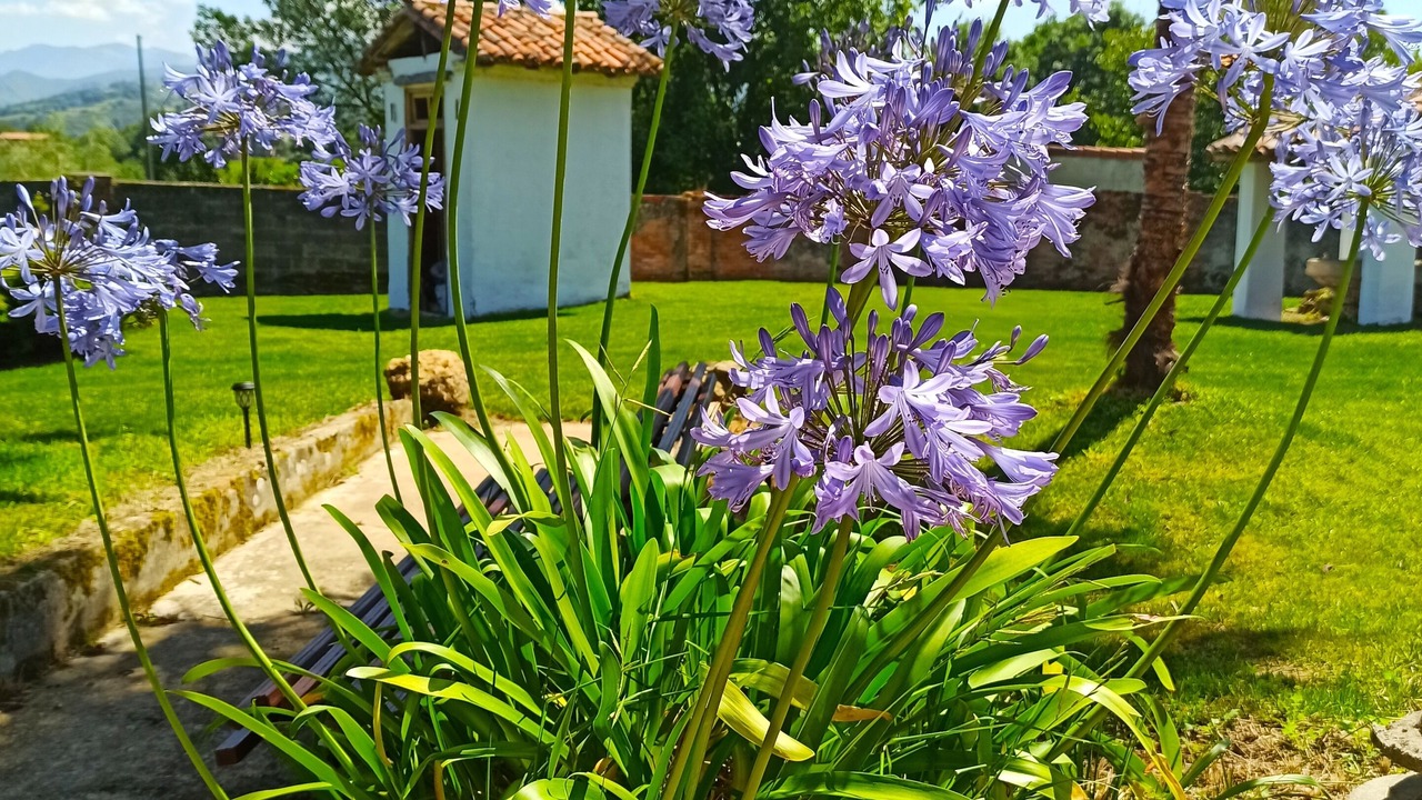 Photo of Outdoor in Villamayor