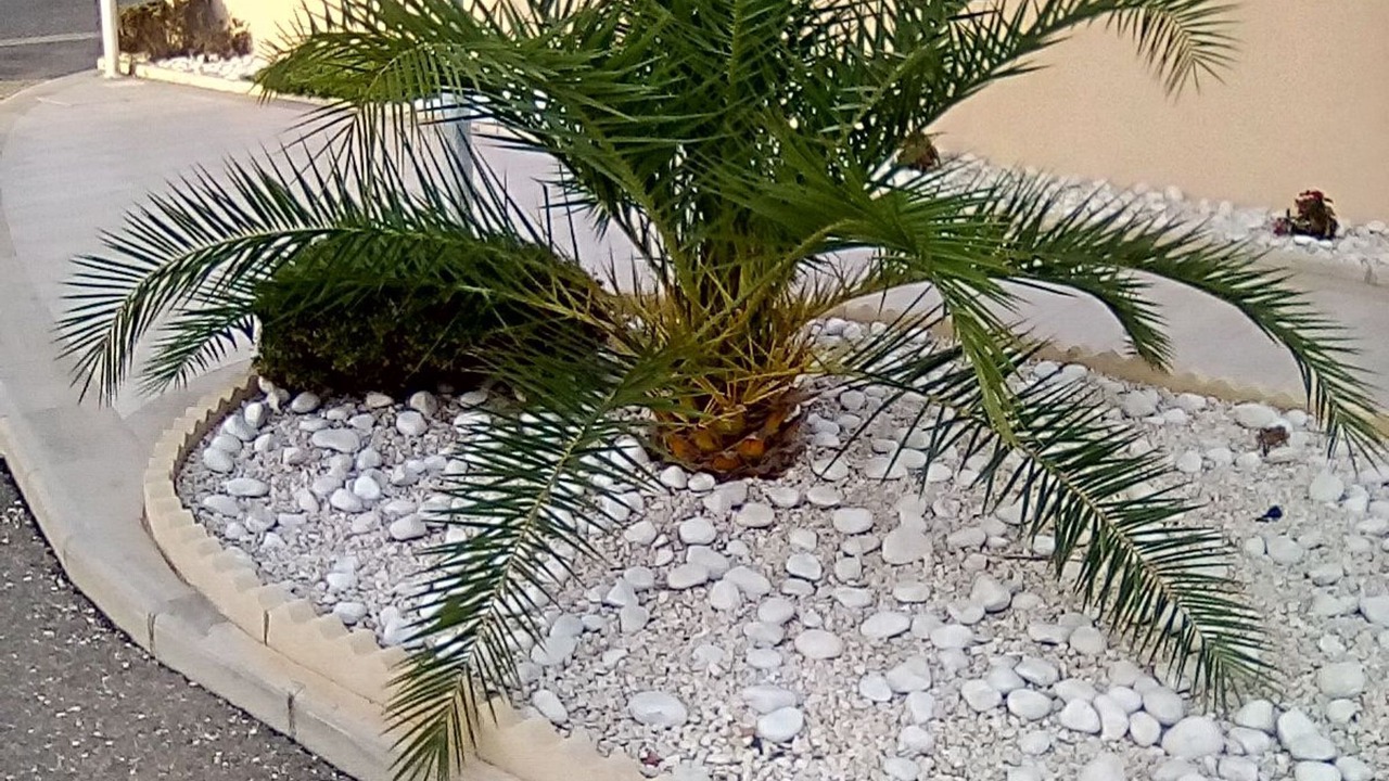 Photo of Outdoor in La Florida