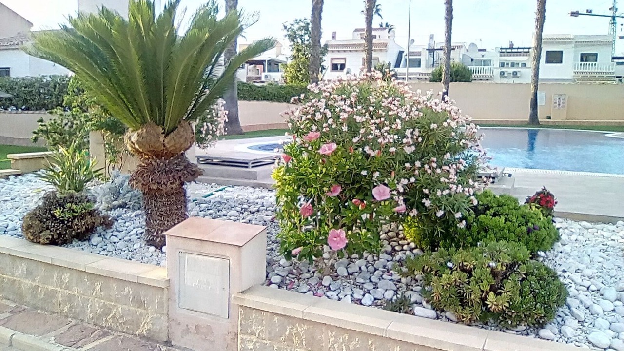Photo of Outdoor in La Florida