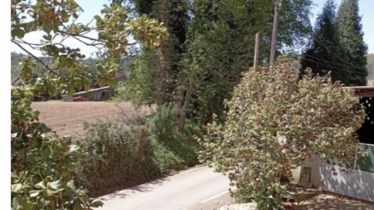 Photo of Outdoor in Ordes