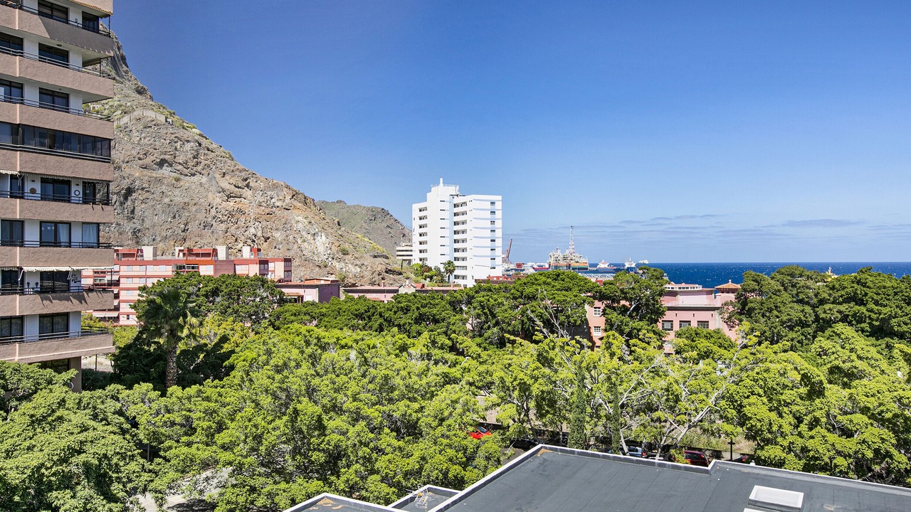 Photo of Others in Santa Cruz de Tenerife