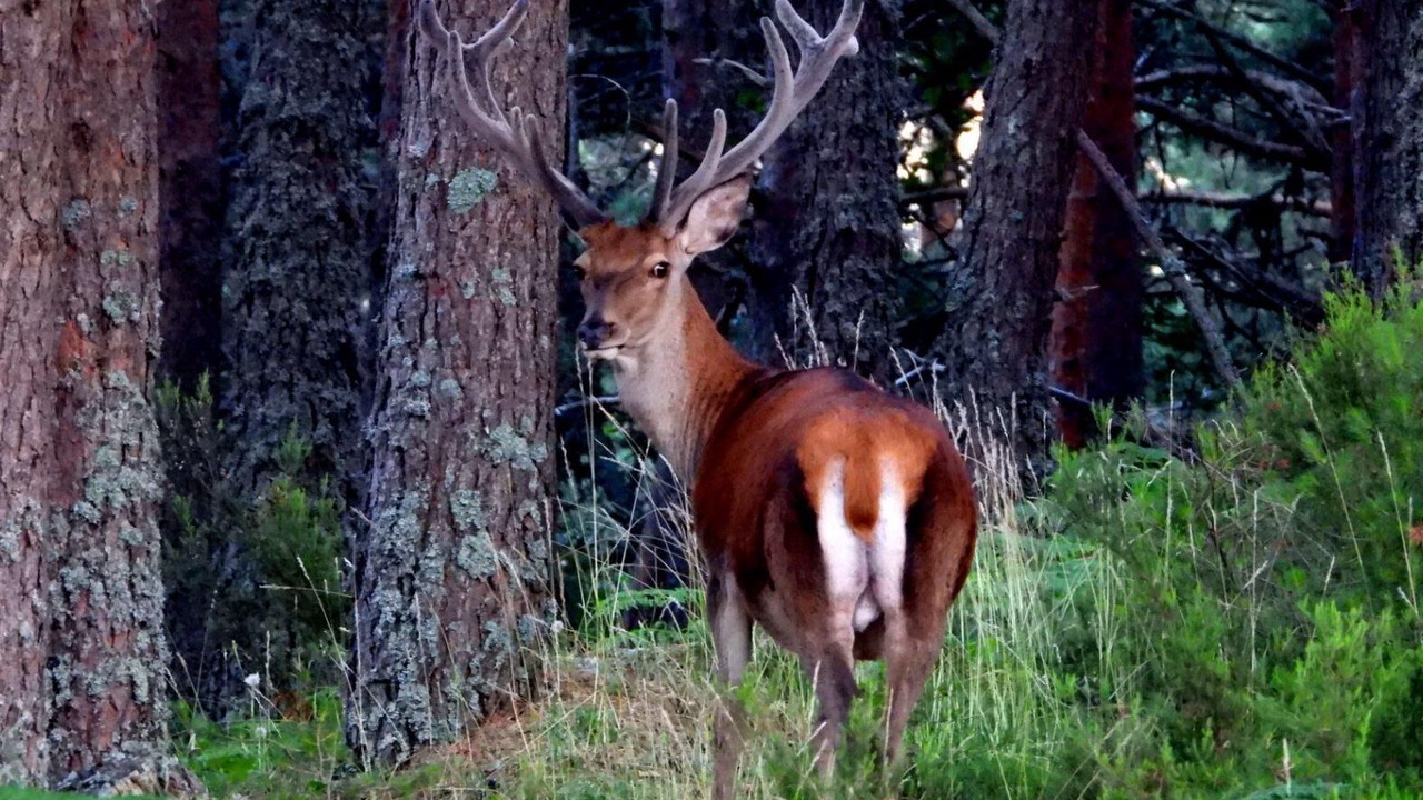 Photo of Outdoor in El Rasillo de Cameros