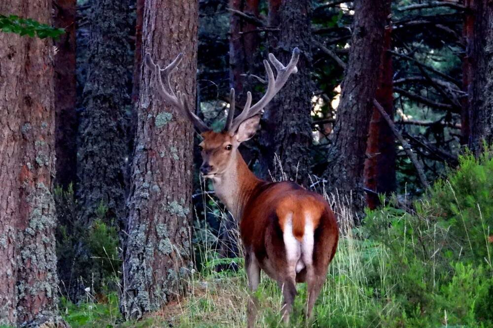 Photo of Outdoor in El Rasillo de Cameros
