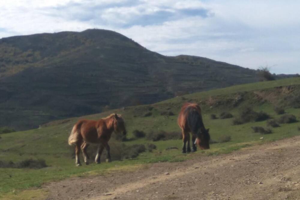 Photo of Others in El Rasillo de Cameros