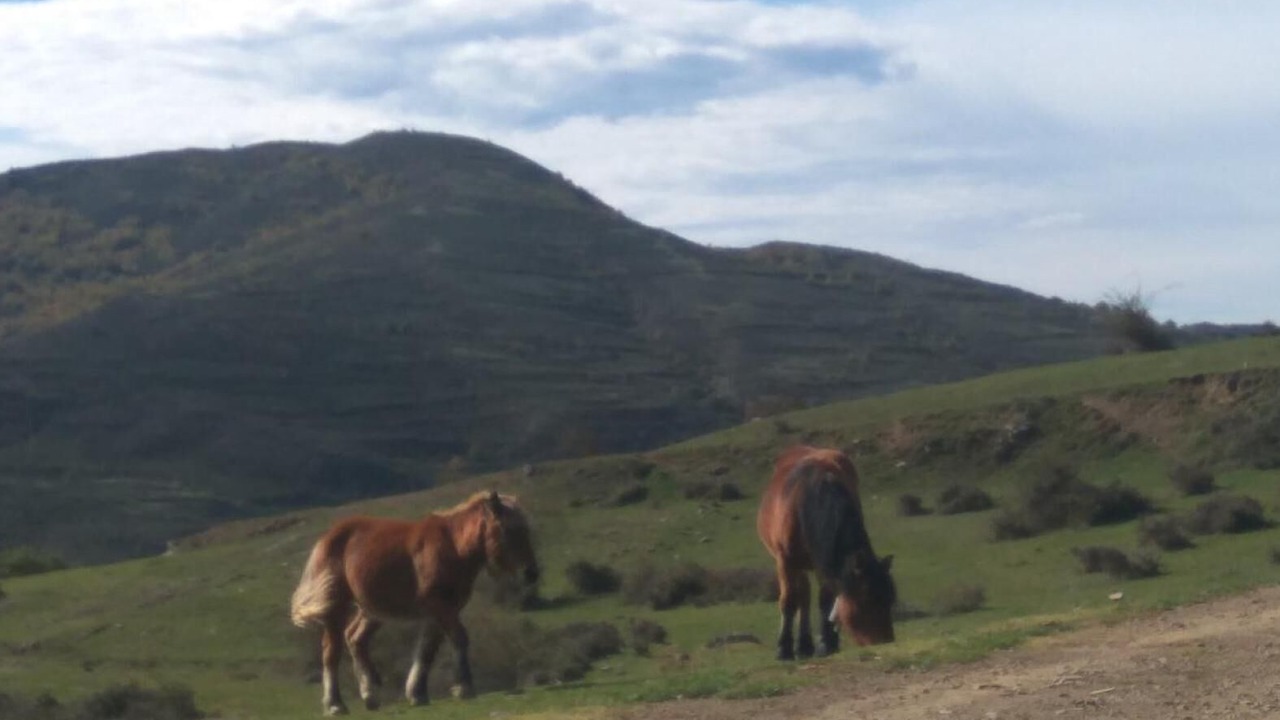 Photo of Others in El Rasillo de Cameros