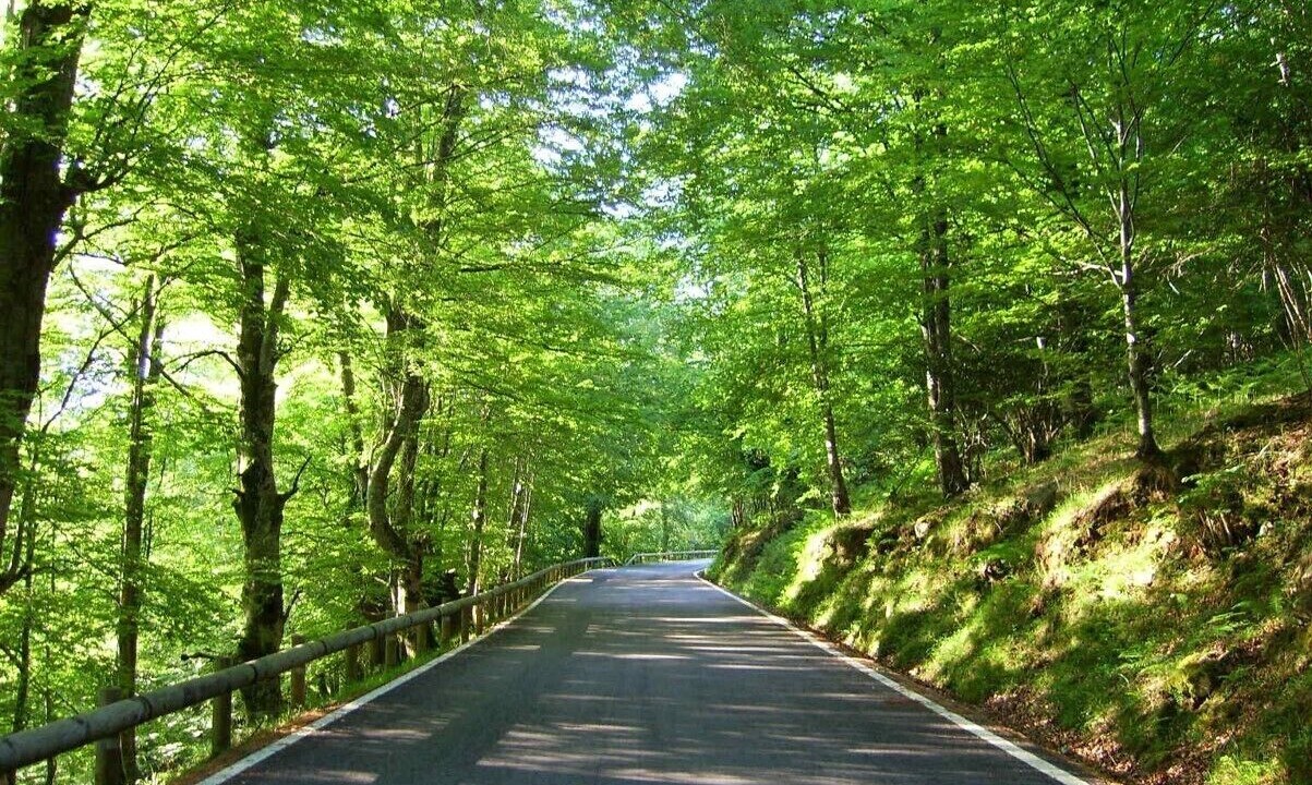 Photo of Outdoor in Valle de Cabuerniga