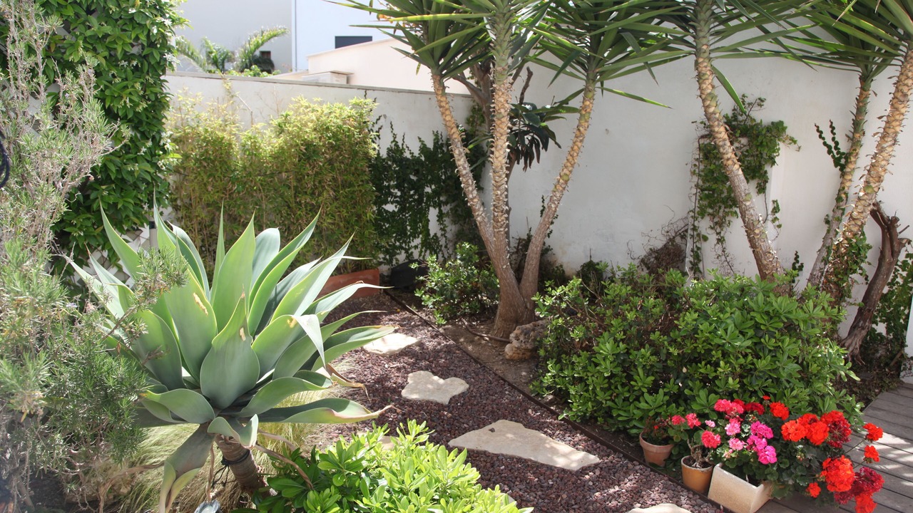 Photo of Outdoor in Puerto Maritimo