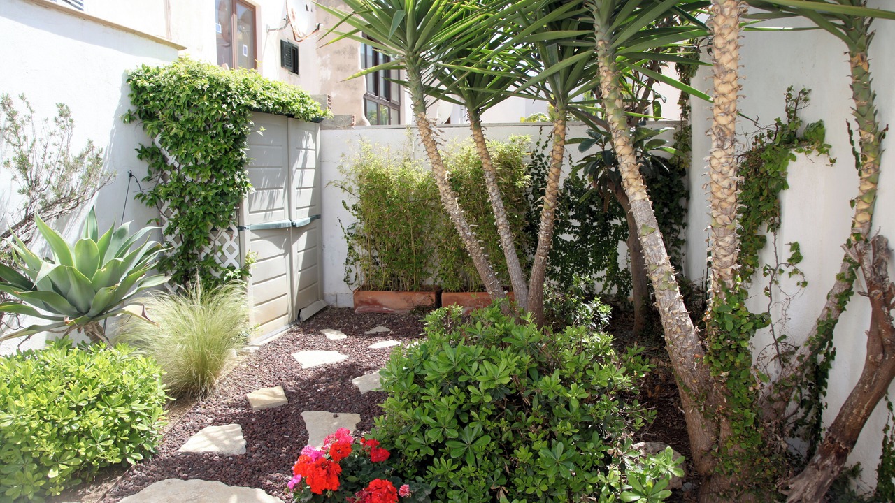 Photo of Outdoor in Puerto Maritimo