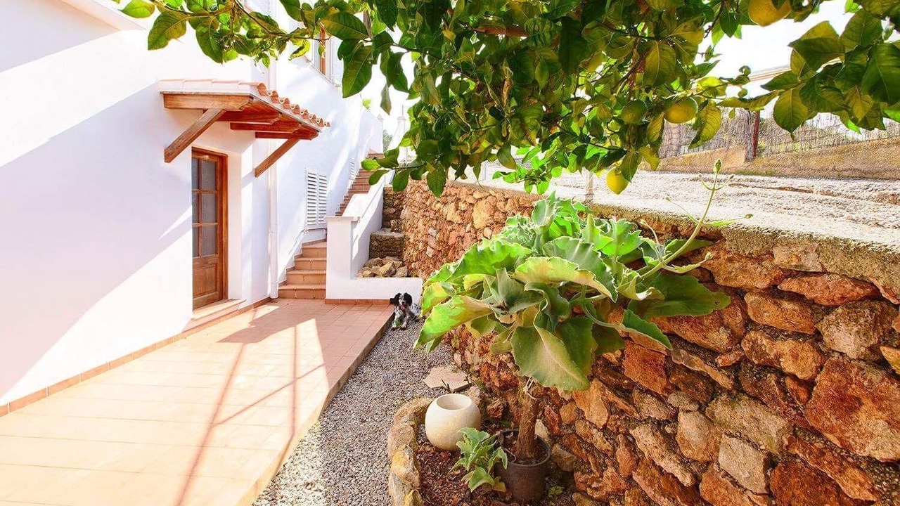Photo of Outdoor in Es Figueral Beach