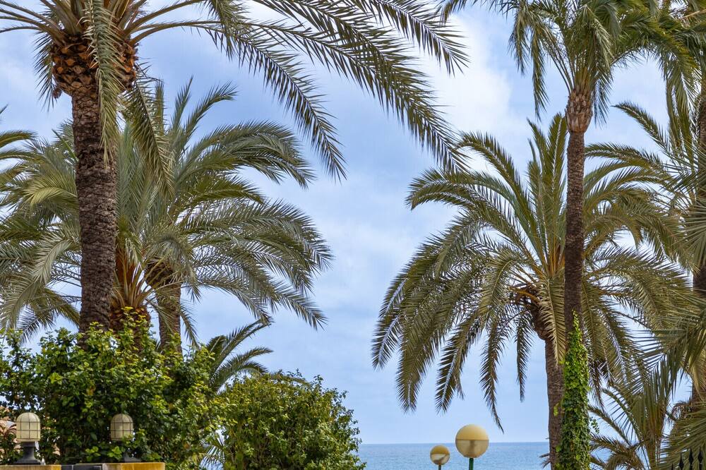 Photo of Others in Dehesa de Campoamor