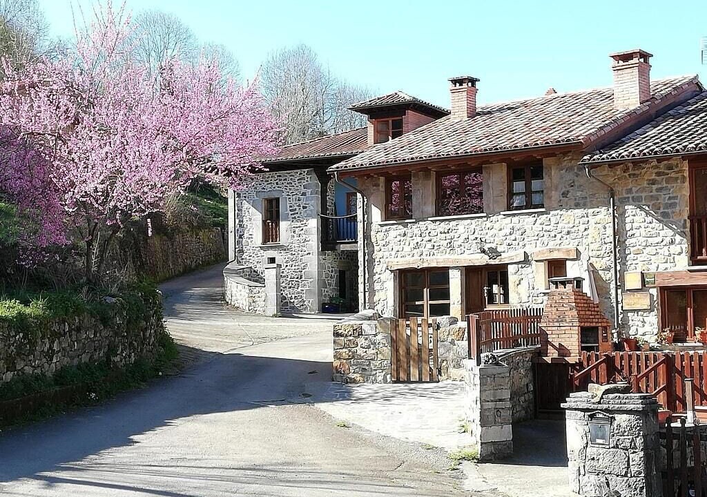 Photo of Outdoor in Bobia de Abajo