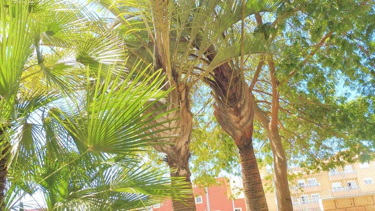 Photo of Outdoor in San Isidro