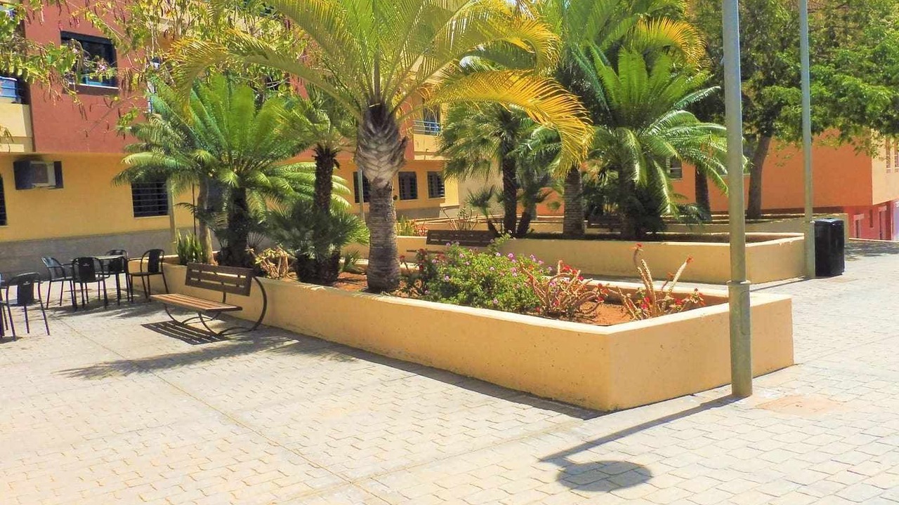 Photo of Outdoor in San Isidro