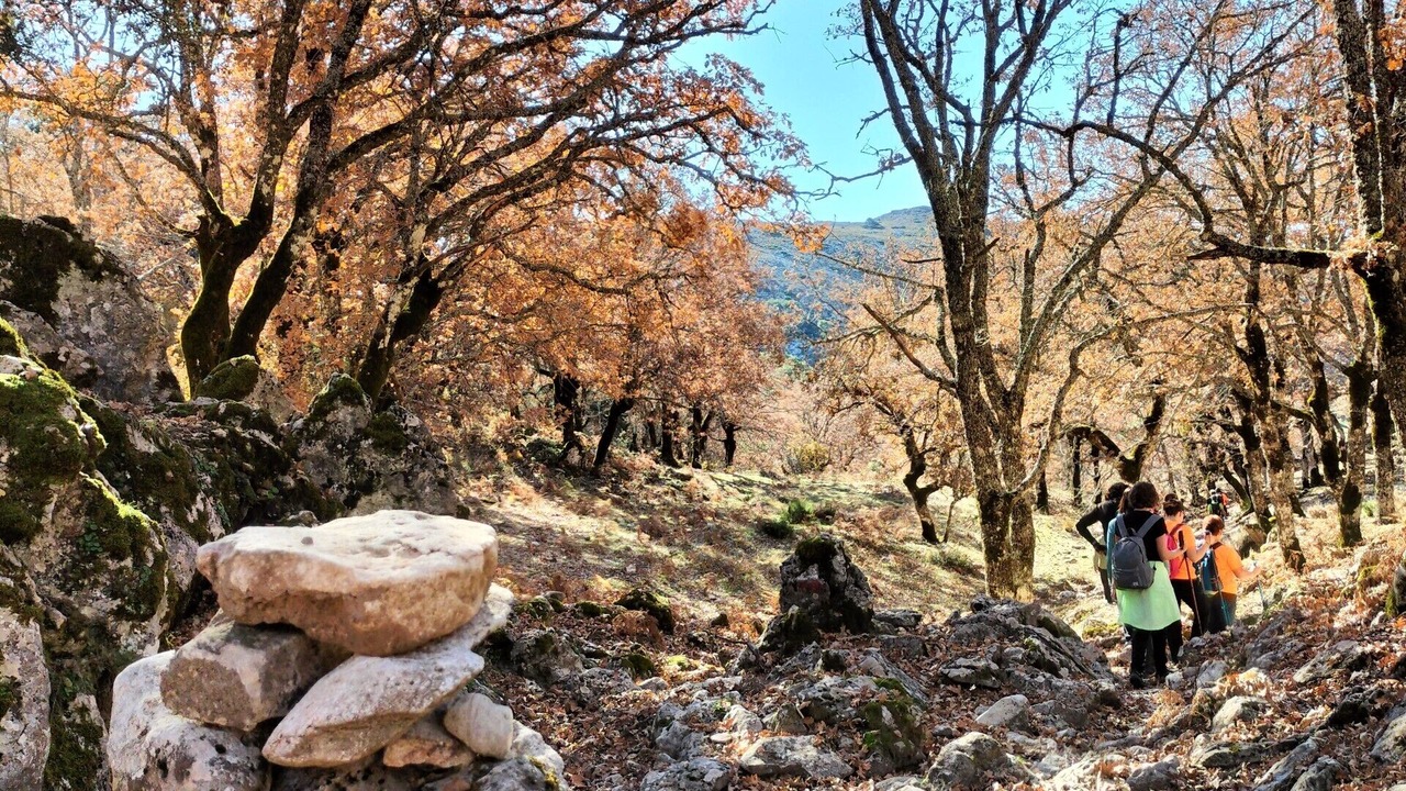 Photo of Outdoor in Majada Carrasca