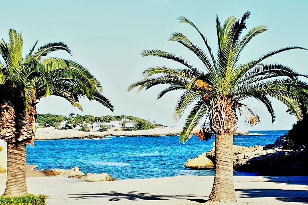 Photo of Outdoor in Cala d'Or