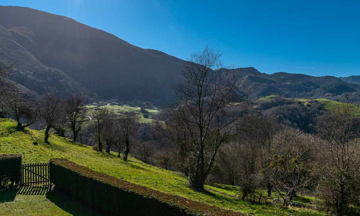 Photo of Outdoor in Puente Nuevo