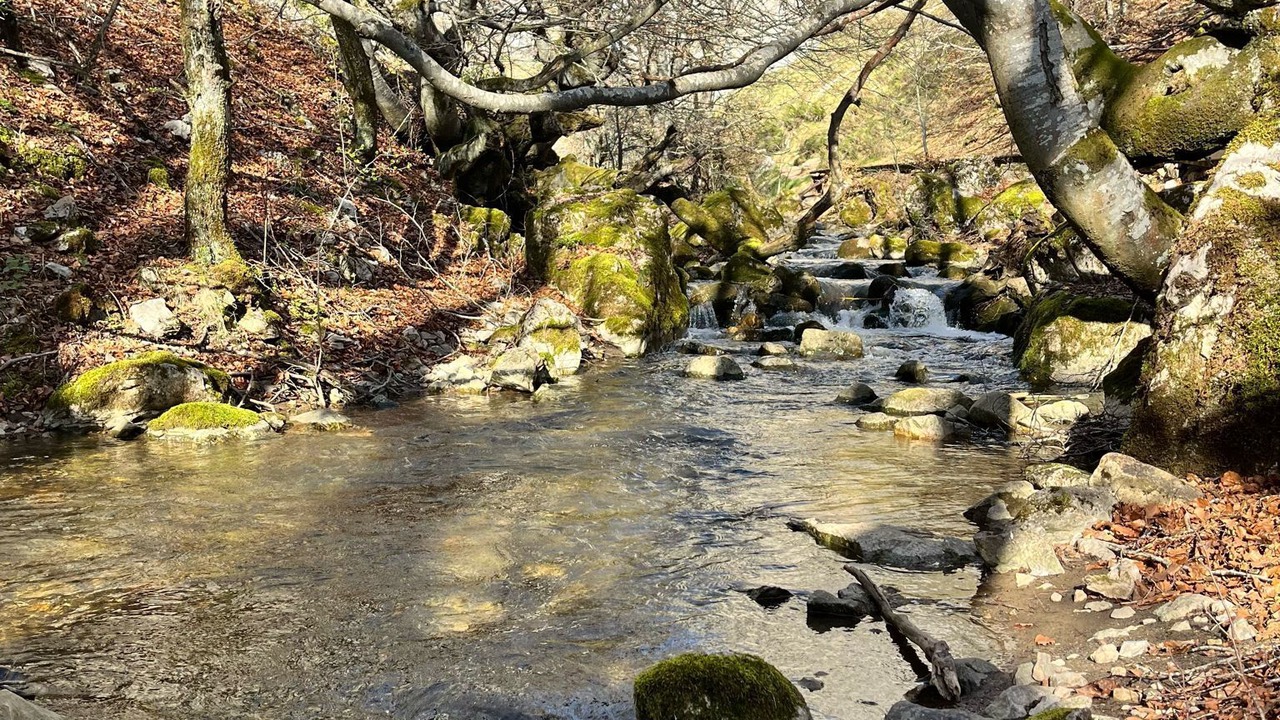 Photo of Outdoor in Matallana
